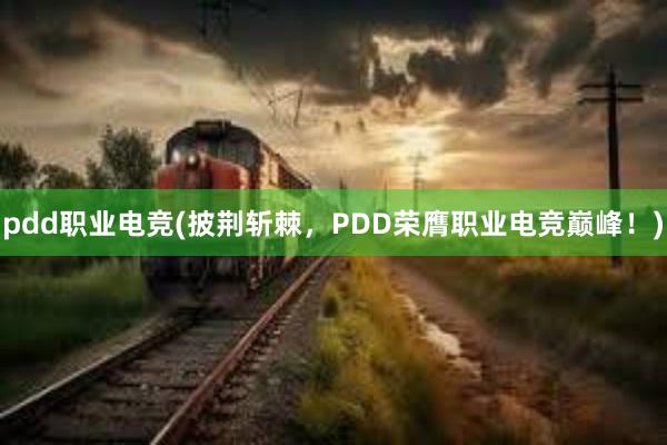 pdd职业电竞(披荆斩棘，PDD荣膺职业电竞巅峰！)