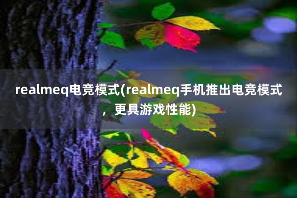 realmeq电竞模式(realmeq手机推出电竞模式，更具游戏性能)