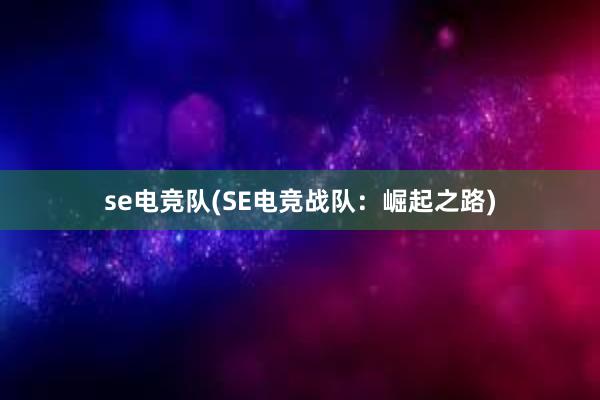 se电竞队(SE电竞战队：崛起之路)