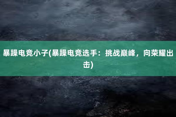 暴躁电竞小子(暴躁电竞选手：挑战巅峰，向荣耀出击)