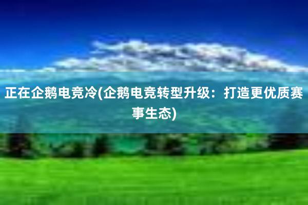 正在企鹅电竞冷(企鹅电竞转型升级：打造更优质赛事生态)