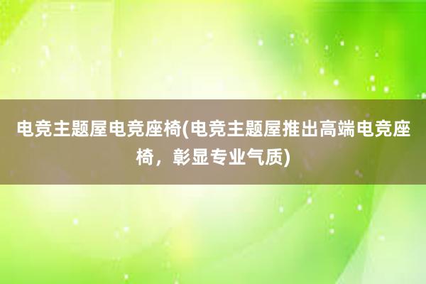 电竞主题屋电竞座椅(电竞主题屋推出高端电竞座椅，彰显专业气质)