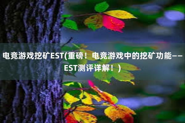 电竞游戏挖矿EST(重磅！电竞游戏中的挖矿功能——EST测评详解！)