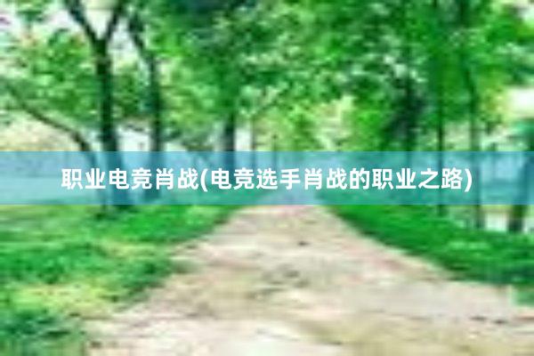 职业电竞肖战(电竞选手肖战的职业之路)