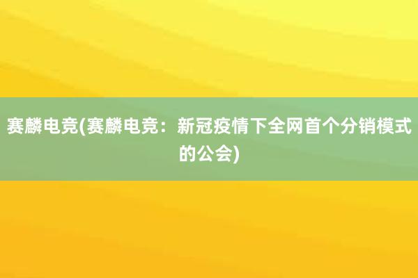 赛麟电竞(赛麟电竞：新冠疫情下全网首个分销模式的公会)