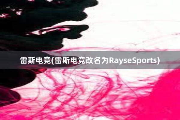 雷斯电竞(雷斯电竞改名为RayseSports)