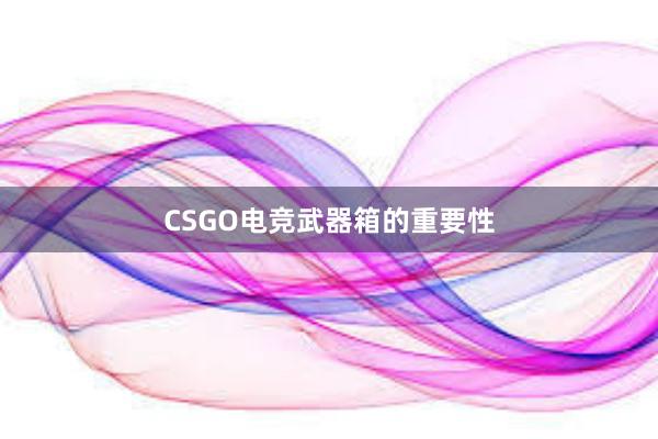 CSGO电竞武器箱的重要性