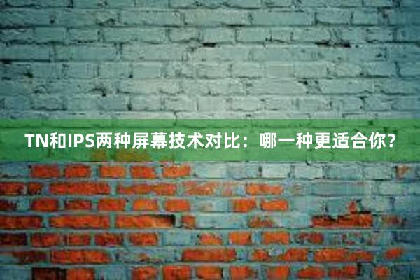 TN和IPS两种屏幕技术对比：哪一种更适合你？