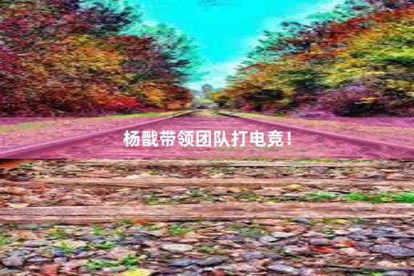 杨戬带领团队打电竞！