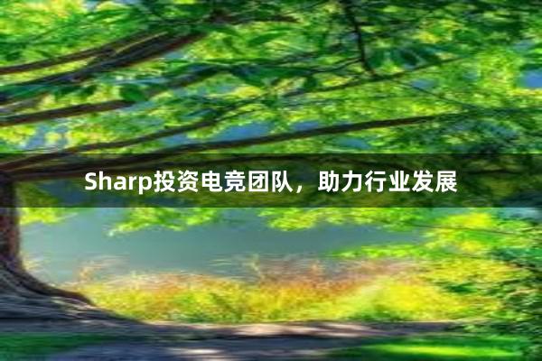 Sharp投资电竞团队，助力行业发展