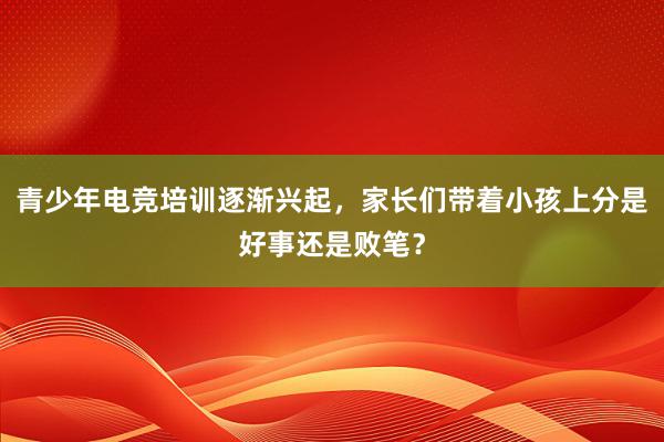 青少年电竞培训逐渐兴起，家长们带着小孩上分是好事还是败笔？