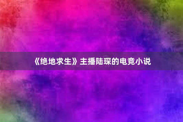 《绝地求生》主播陆琛的电竞小说