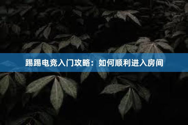 踢踢电竞入门攻略：如何顺利进入房间