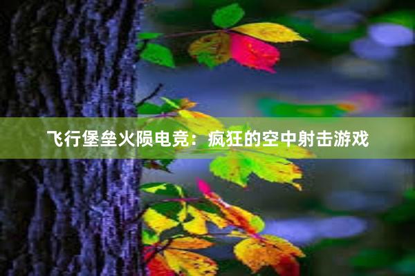 飞行堡垒火陨电竞：疯狂的空中射击游戏